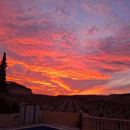 Private Villa Large Pool Elevated Quiet Secluded Location, Near Mojacar Antas Exterior photo